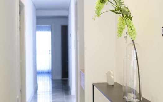 Amazing apartment fully furnished at the highest standard!