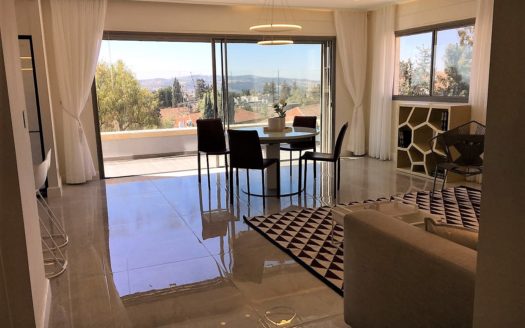 Penthouse de reve en plein coeur de Rehavia entierement meuble