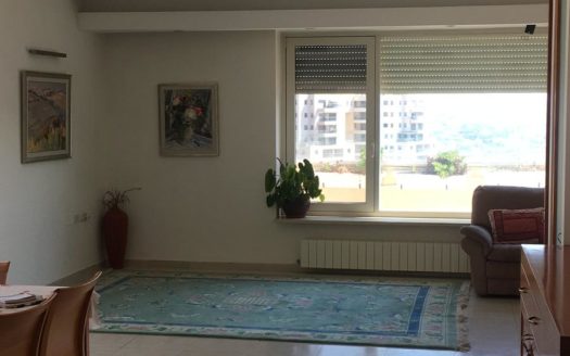 Magnifique penthouse a vendre a Ramat Sharet!