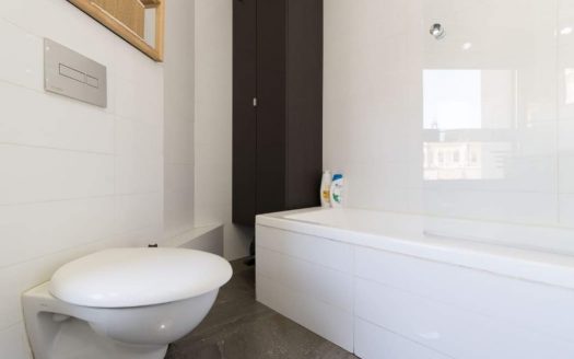 Au coeur du centre ville appartement 3 pièces  entièrement meublé!