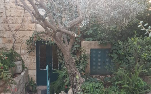 Amazing 6 rooms garden apartment in the heart of German Colony!