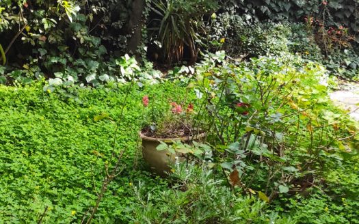 Amazing 6 rooms garden apartment in the heart of German Colony!