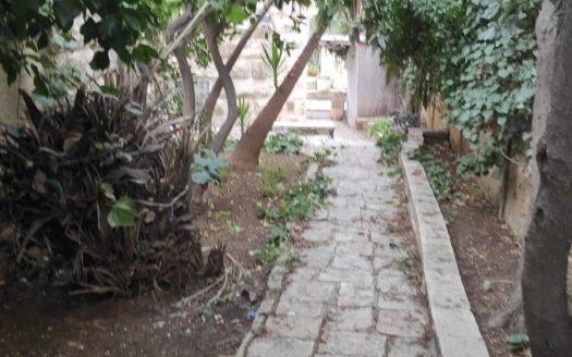 Rez de jardin  2 pieces en plein coeur de la Mochava Germanit!