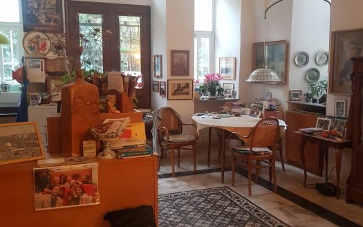 Amazing 6 rooms garden apartment in the heart of German Colony!